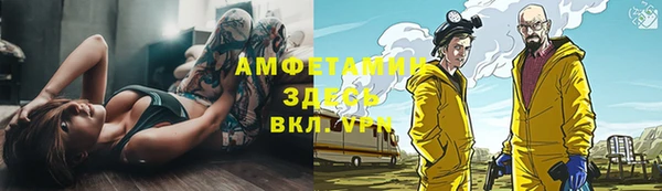 хмурый Арсеньев