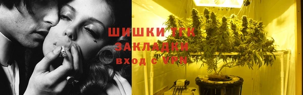 хмурый Арсеньев