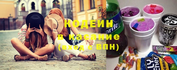хмурый Арсеньев