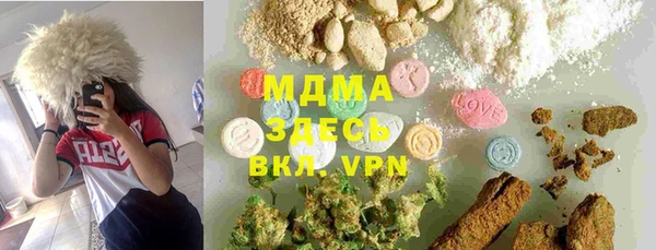хмурый Арсеньев