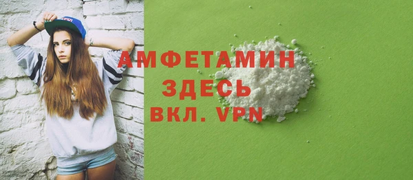 хмурый Арсеньев