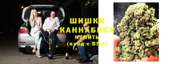 хмурый Арсеньев