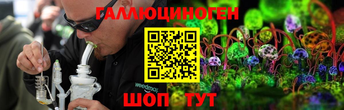 Псилоцибиновые грибы Psilocybine cubensis Спасск-Дальний